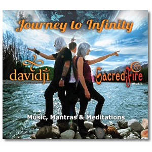 davidji journey to infinity ayurveda