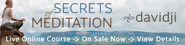 Join me LIVE for this worldwide online event! Sign up TODAY and receive a FREE copy of  Secrets of Meditation.