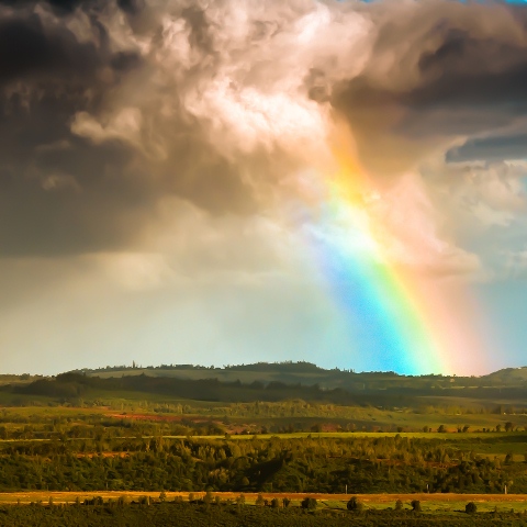 Gorgeous-Rainbow-Photography-1