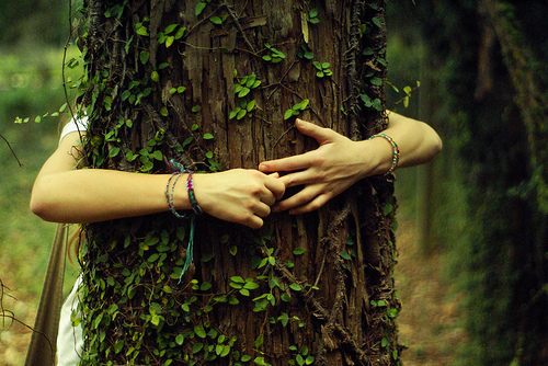 nn3JXHRiywjNLMlLLB4Q_tree-hugger