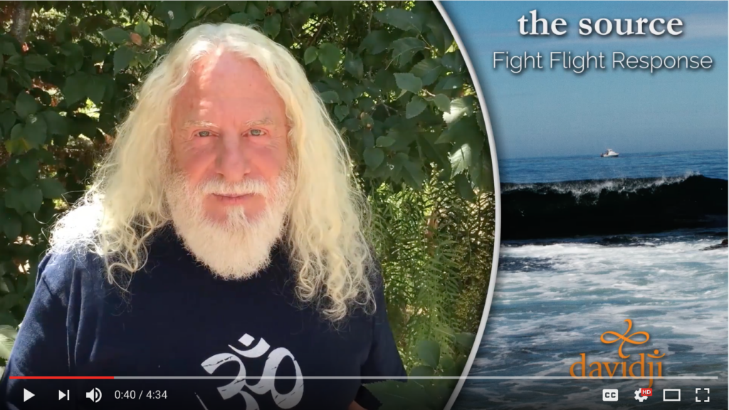 how stress affects the mind ego