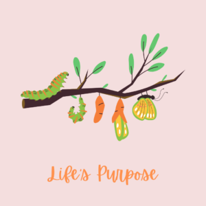 Life's Purpose